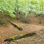 Molinos - Atico En Montana De Asturias