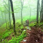Apartmán Molinos - Atico En Montana De Asturias *