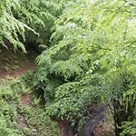 Molinos - Atico En Montana De Asturias *