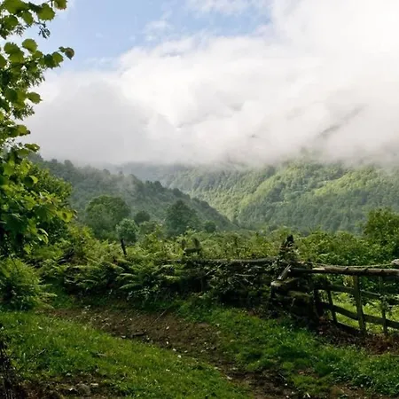Lejlighed Molinos - Atico En Montana De Asturias *