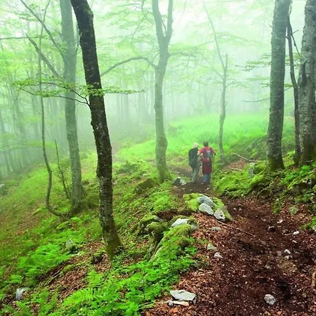 Lejlighed Molinos - Atico En Montana De Asturias *