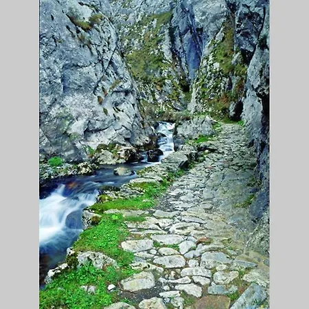 Daire Molinos - Atico En Montana De Asturias Felechosa