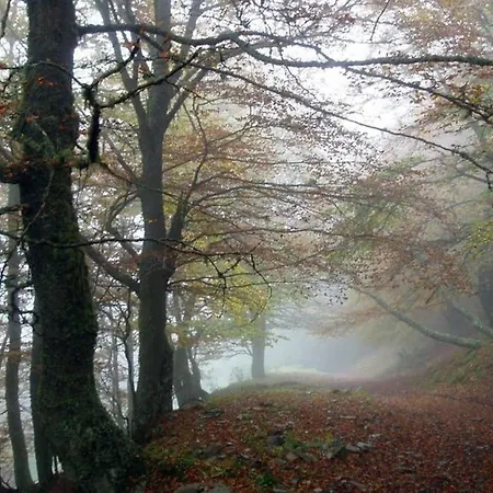 Molinos - Atico En Montana De Asturias Daire *