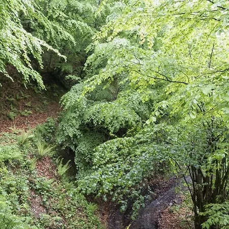Molinos - Atico En Montana De Asturias *