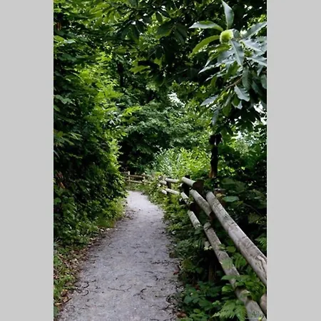 Daire Molinos - Atico En Montana De Asturias