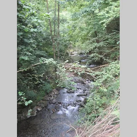 Molinos - Atico En Montana De Asturias Apartamento Felechosa